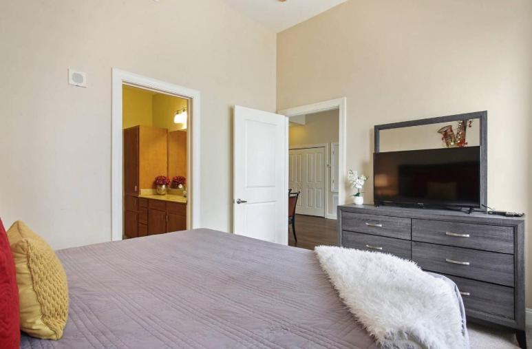 Amazing Condos Beautiful View 2 Blocks To French Quarter, Small Rooftop Pool, Gym, Seanger Theater, Super Dome, And Bourbon St ニューオーリンズ エクステリア 写真